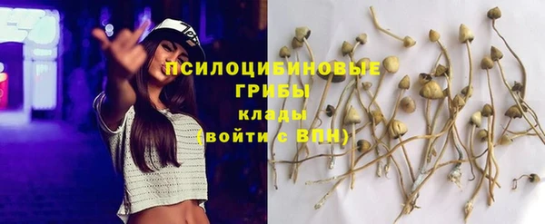 ешки Абдулино