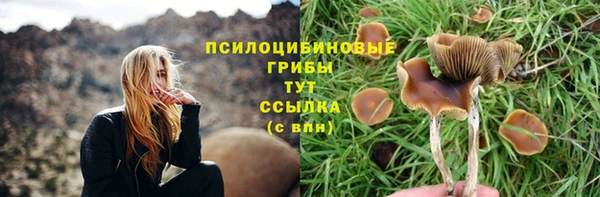 а пвп мука Абинск