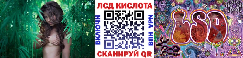 как найти наркотики  mega ССЫЛКА  Наркотические марки 1,5мг  Владимир 