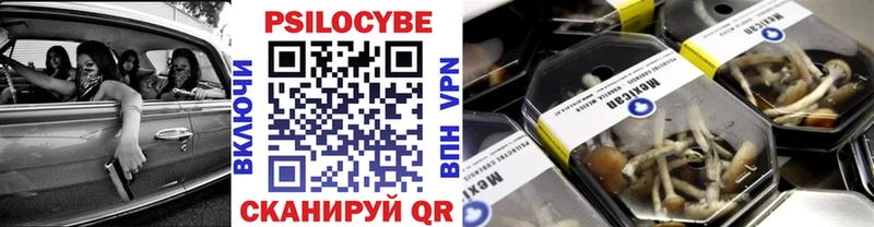 мега ссылка  Владимир  Псилоцибиновые грибы Psilocybine cubensis 
